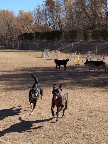 Riverfront Dog Park