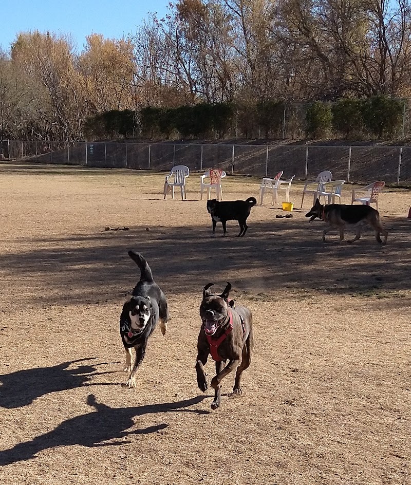 Riverfront Dog Park - Cottonwood, AZ