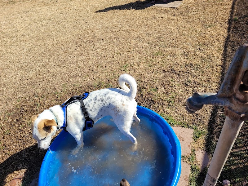 Riverfront Dog Park - Cottonwood, AZ