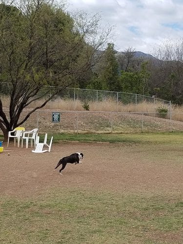 Riverfront Dog Park