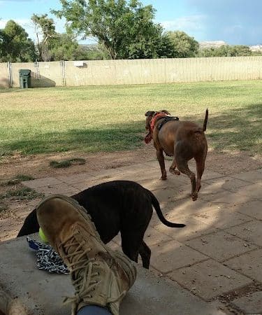 Riverfront Dog Park