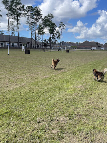 Pretty Acres Dog Park
