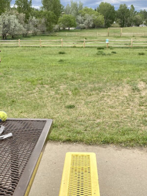 Craig Dog Park