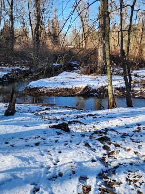 Clayton Park