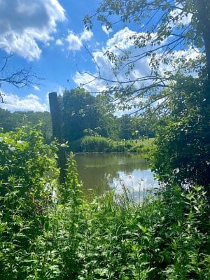 Clayton Park