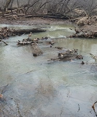 Clayton Park