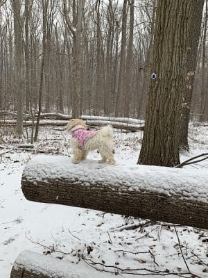 Clayton Park