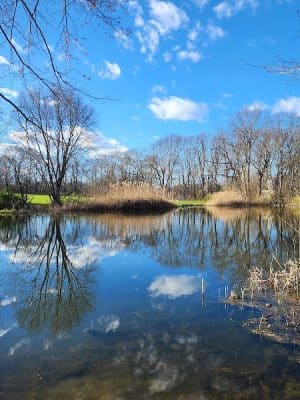 Clayton Park