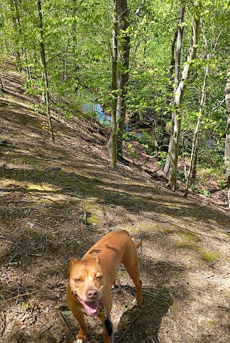 Clayton Park
