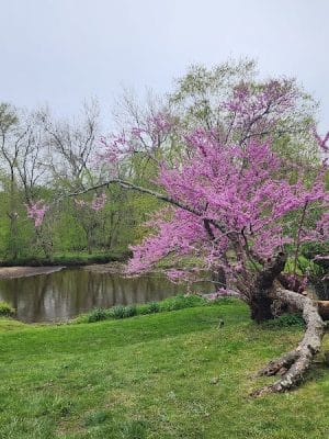 Crosswicks Creek Park