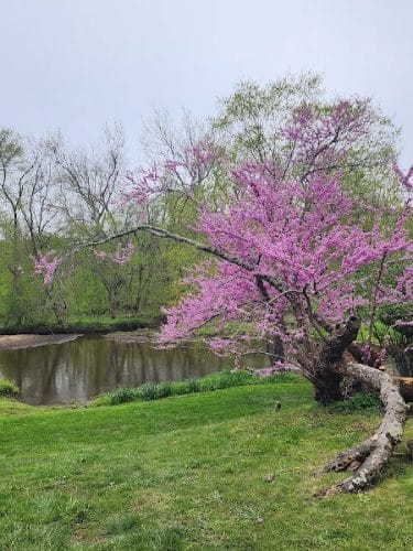 Crosswicks Creek Park