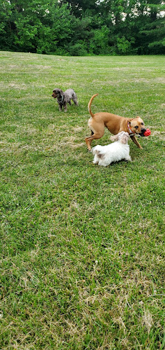 Creve Coeur Dog Park