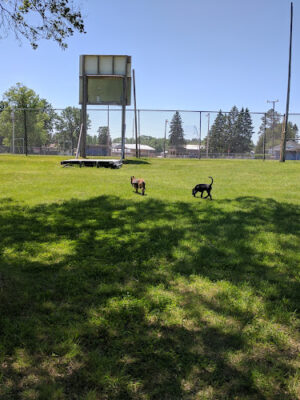 Crivitz Community Veterans Park John Shaffer Pavilion
