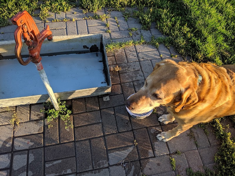 Dog Park - Crookston, MN