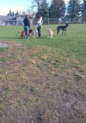 Dog Park - Crookston, MN