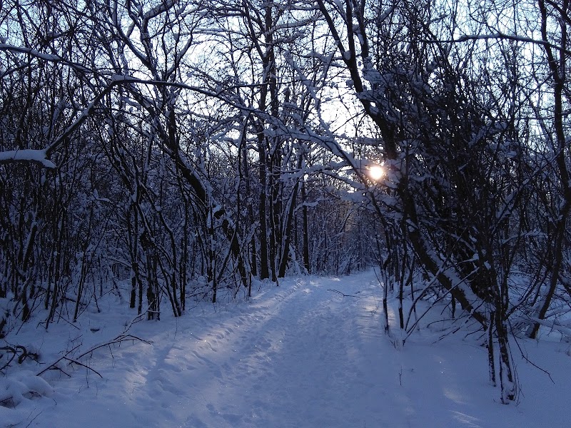 Dog Park - Crookston, MN