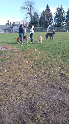 Dog Park