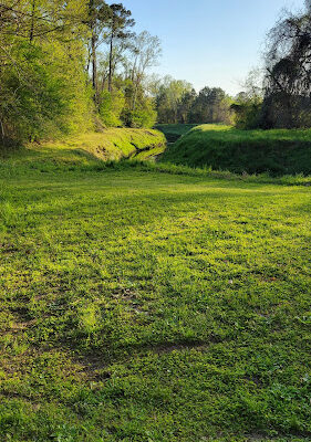Newport Park & Trails