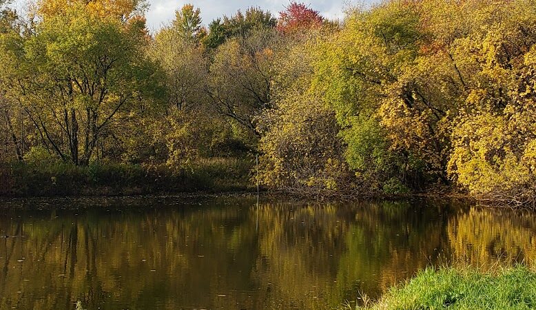 Duck Pond Walking Trail - Croswell, MI