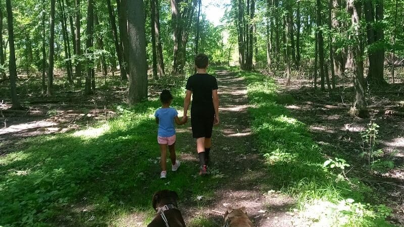 Duck Pond Walking Trail - Croswell, MI