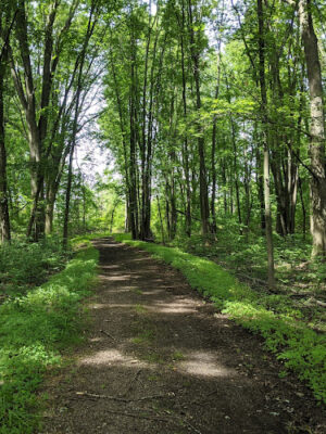 Duck Pond Walking Trail