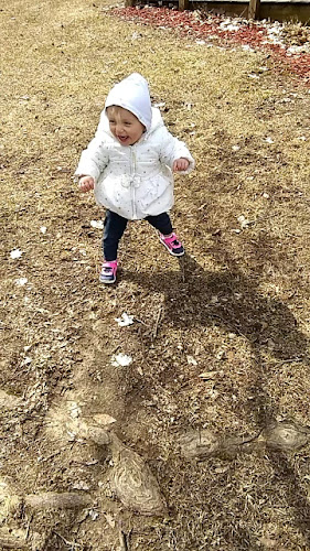 Gingersnap Park