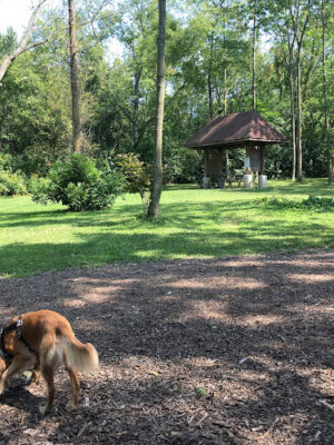 Warnimont Dog Park