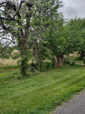 Kestner Wayside Park