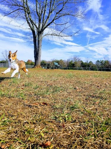 Mountain Run Lake Park