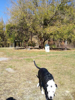 Kaitlyn DeVries Memorial Dog Park