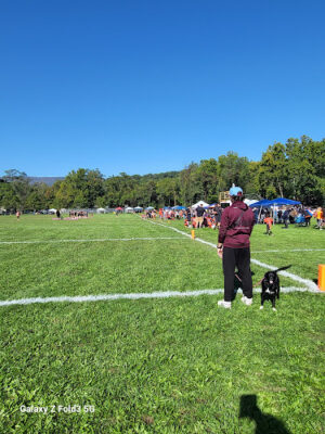 Brauer Ball Field