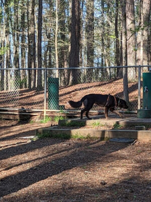 Fowler Dog Park