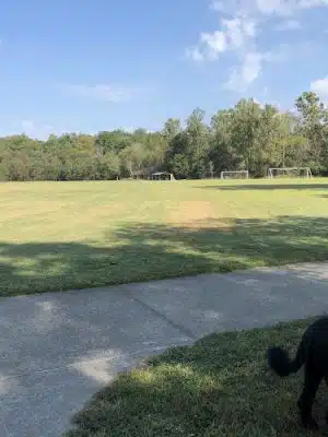 Windermere Park - Cumming, GA