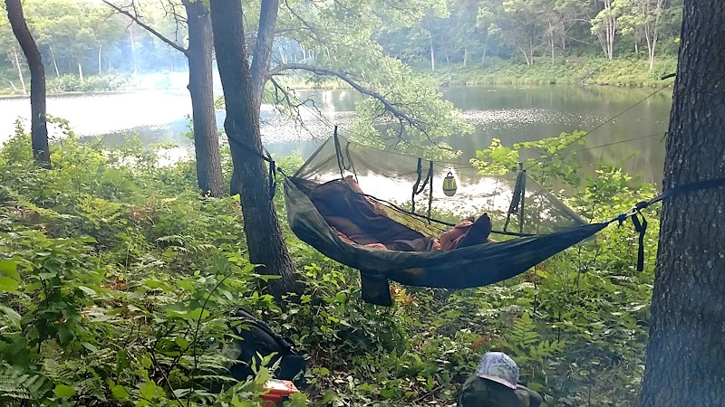 Hoist Lake Foot Travel Area Trailhead - Curran,