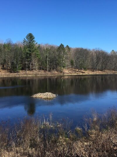 Hoist Lake Foot Travel Area Trailhead - Curran,