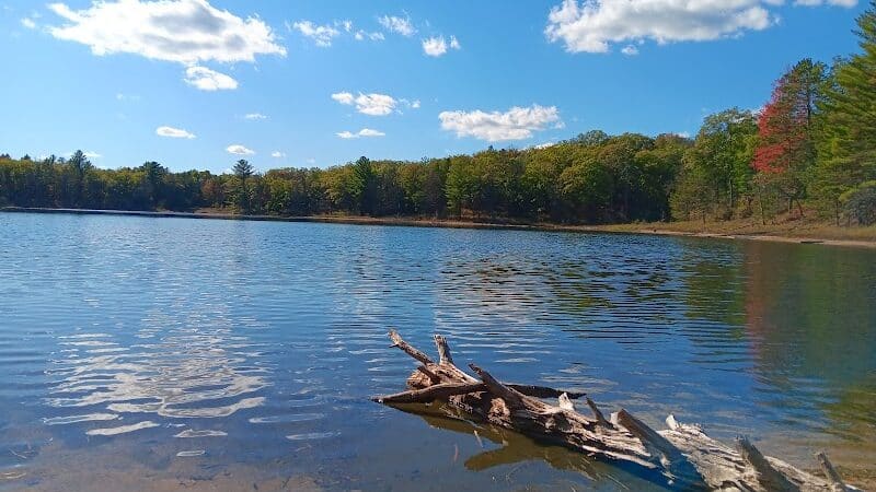 Hoist Lake Foot Travel Area Trailhead - Curran,