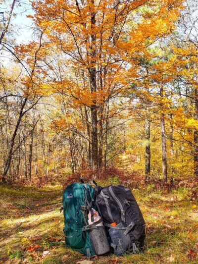 Hoist Lake Foot Travel Area Trailhead - Curran,