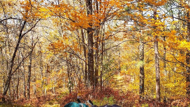 Hoist Lake Foot Travel Area Trailhead - Curran,