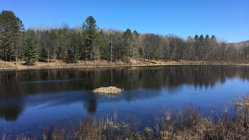 Hoist Lake Foot Travel Area Trailhead - Curran,