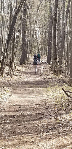 Hoist Lake Foot Travel Area Trailhead