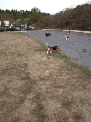 Harbins Dog Park