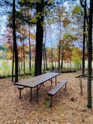 Dalbo Park