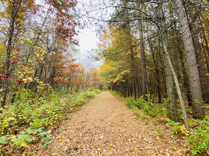 Dalbo Park - Dalbo, MN