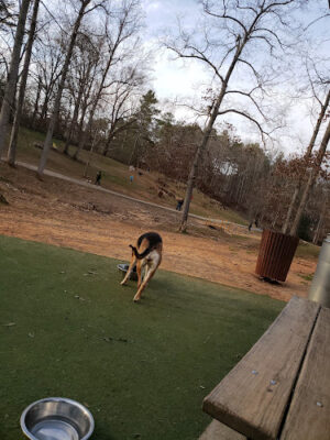 Dallas Dog Park