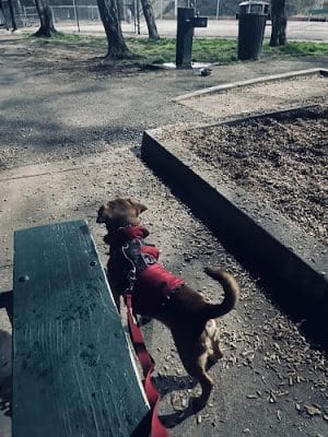 Mission Hills Park