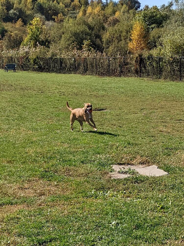 Danbury Dog Park