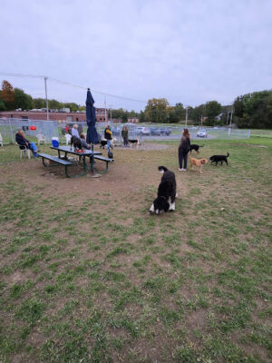 Danbury Dog Park @ Margerie Reservoir