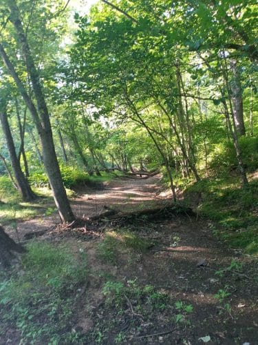 Phaiah's Dog Park