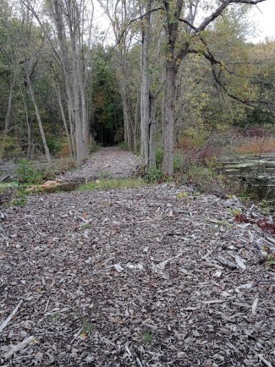 7 Gables Road Natural Area - Dansville,