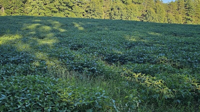 7 Gables Road Natural Area - Dansville,